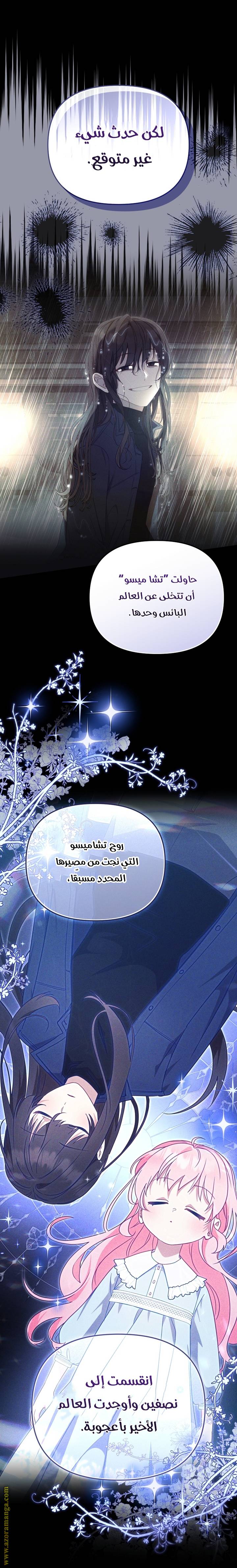 الصفحة 33