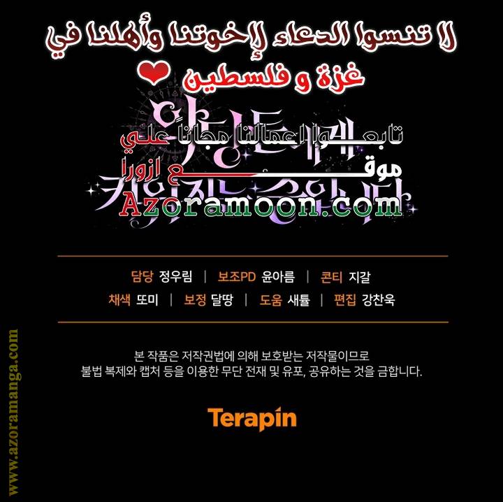 الصفحة 41