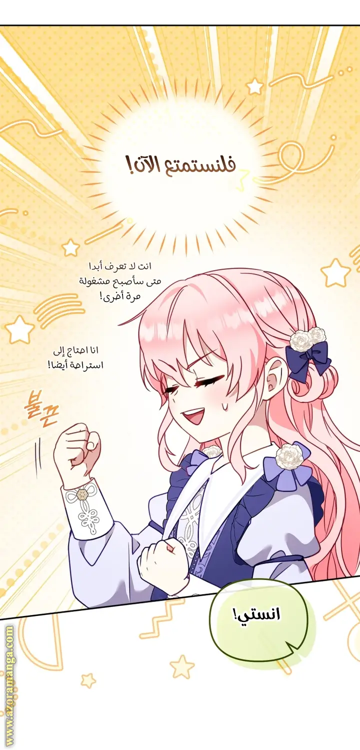 الصفحة 29