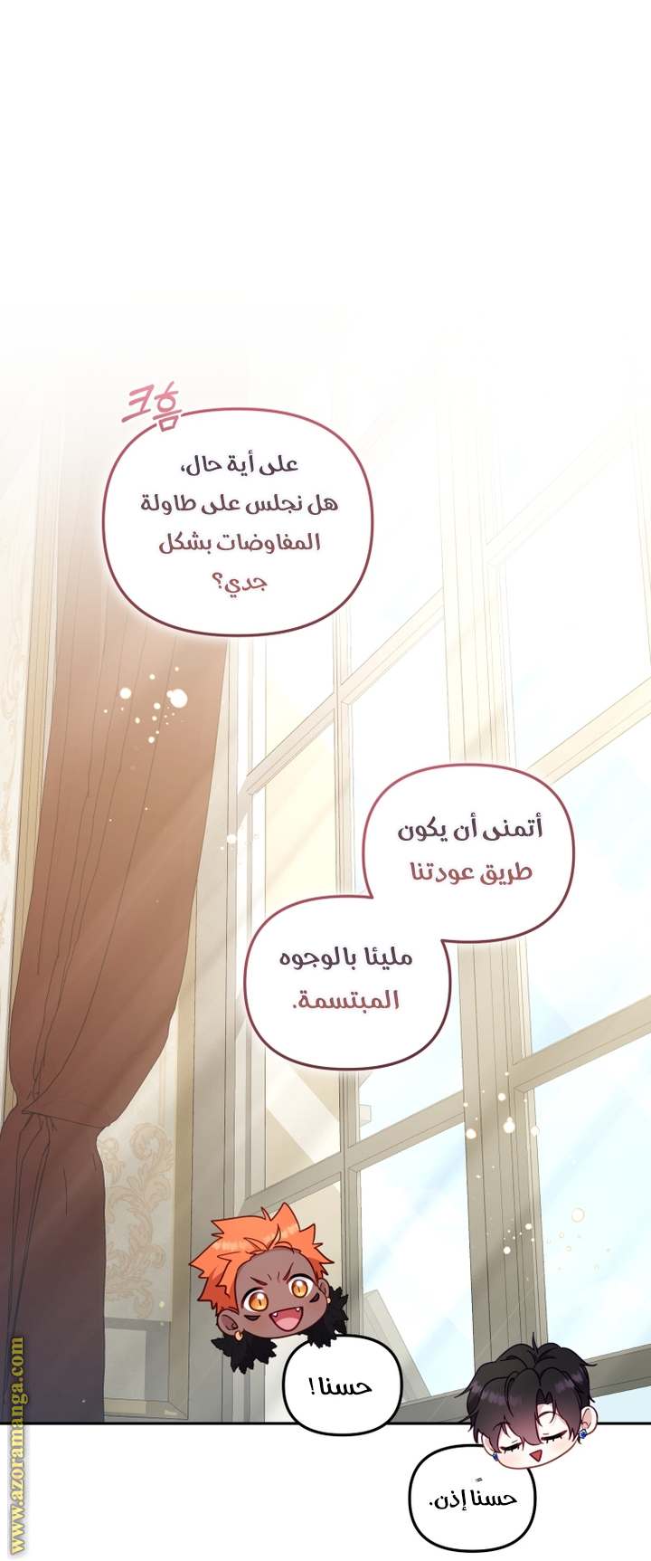 الصفحة 27