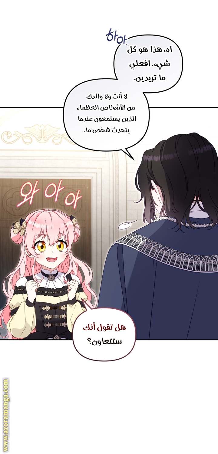 الصفحة 41