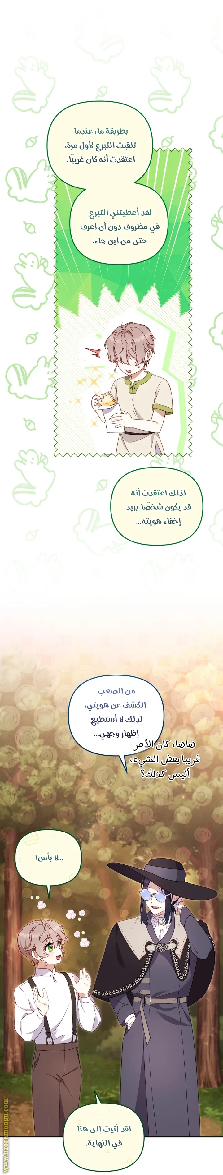 الصفحة 17