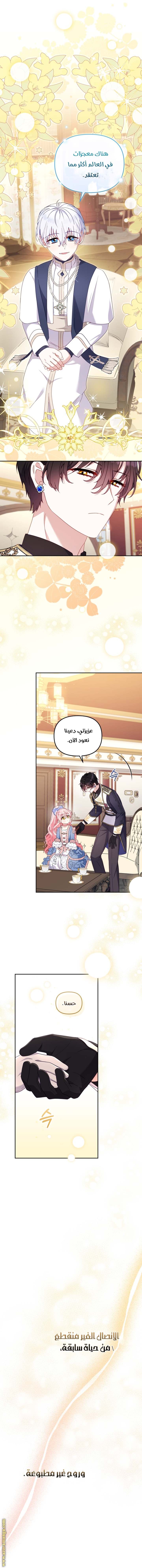 الصفحة 42