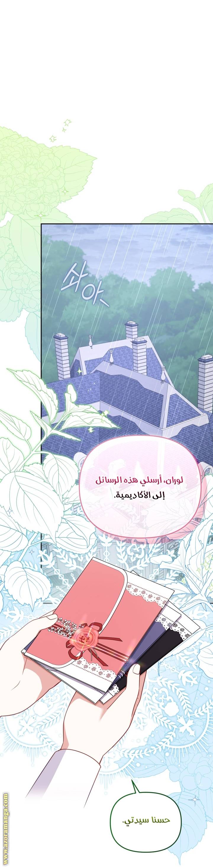الصفحة 17