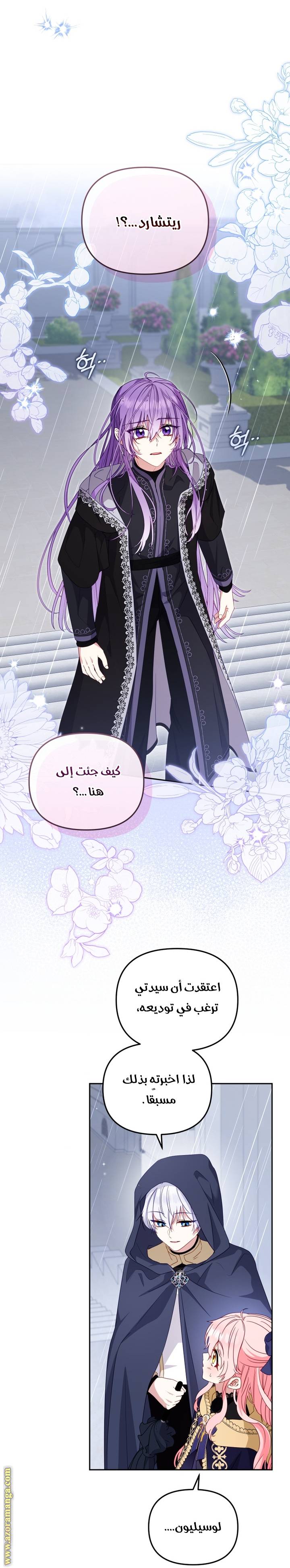 الصفحة 27