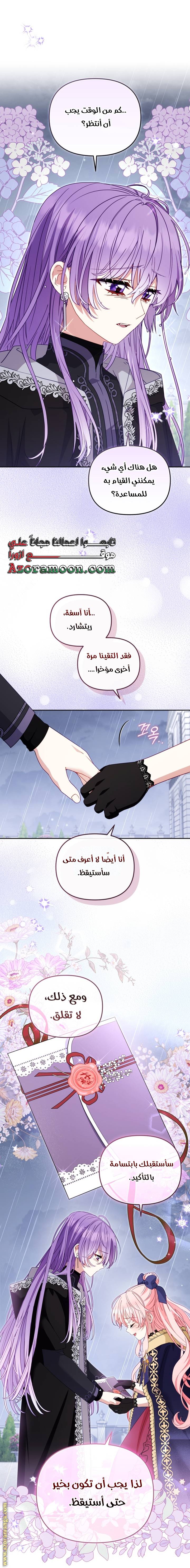الصفحة 29