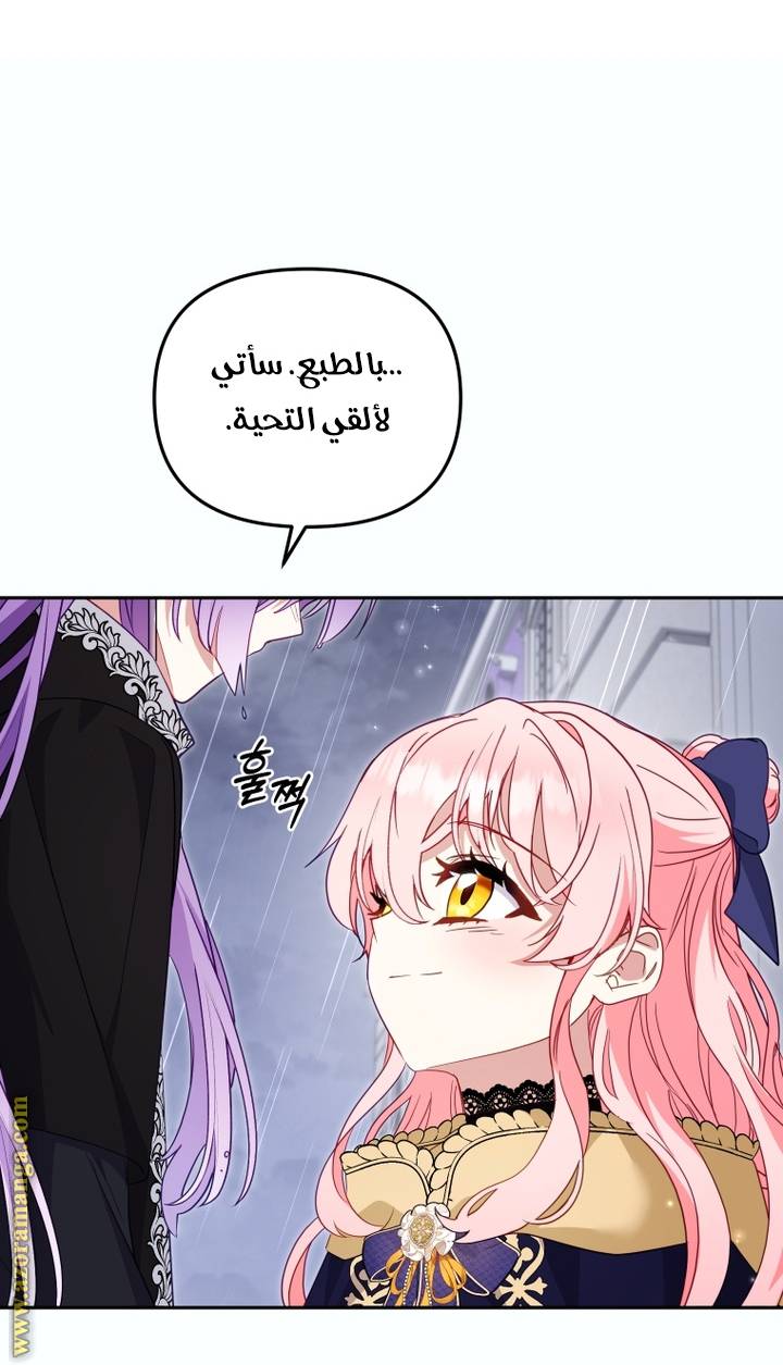 الصفحة 30