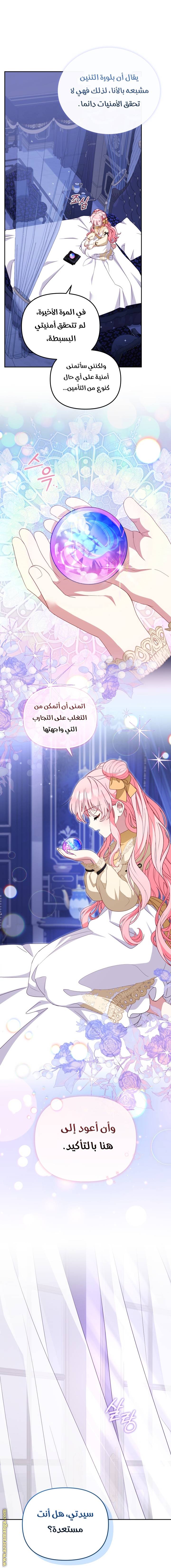 الصفحة 39