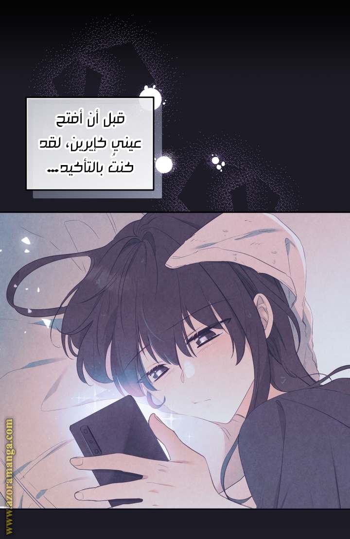 الصفحة 19