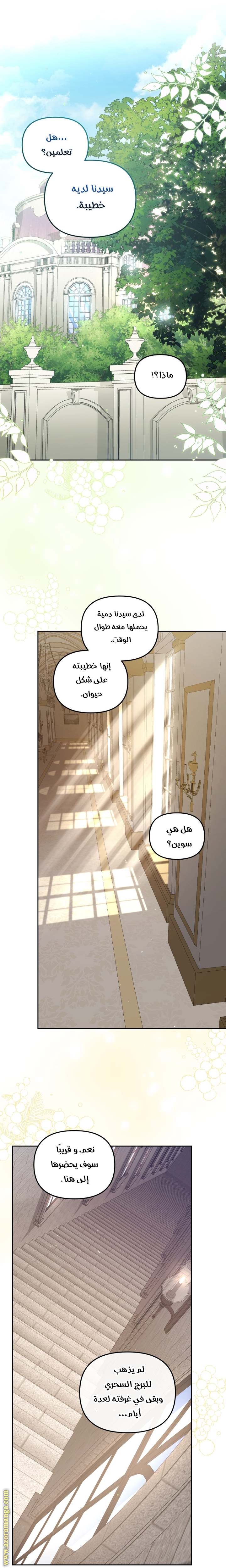 الصفحة 46