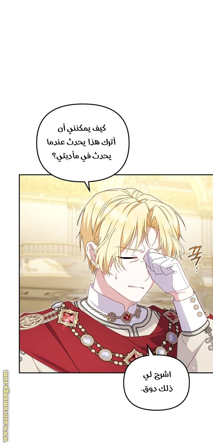 الصفحة 27