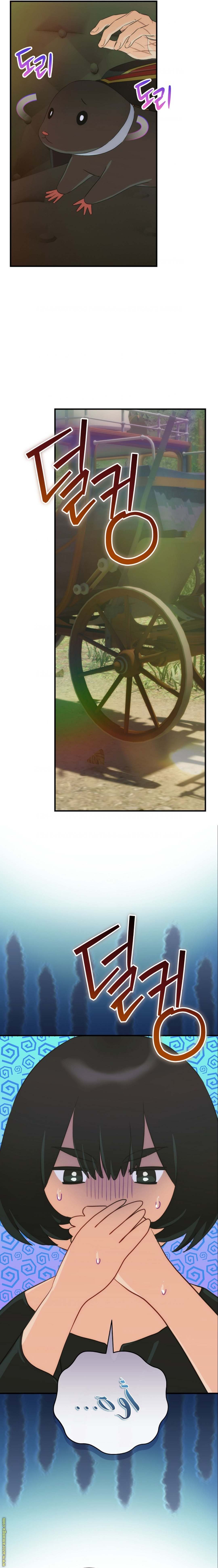الصفحة 17