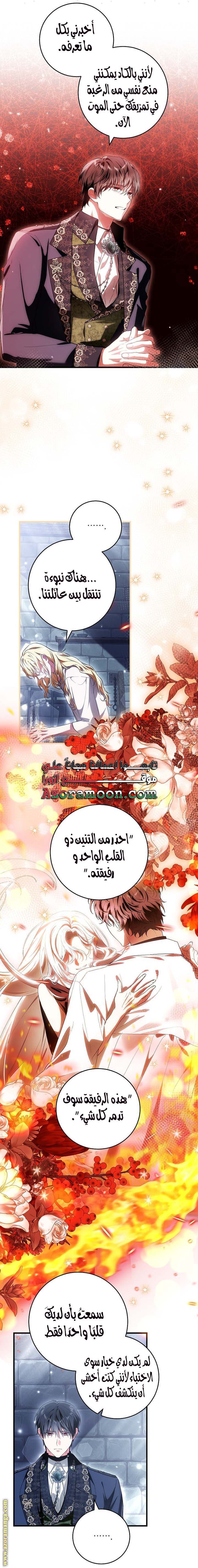 الصفحة 13
