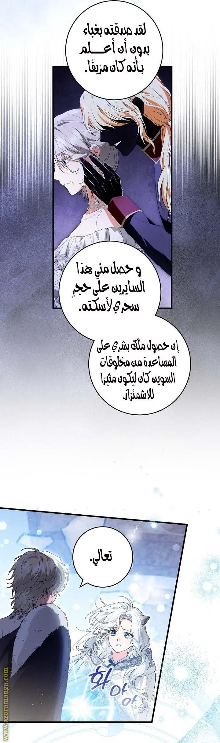 الصفحة 17