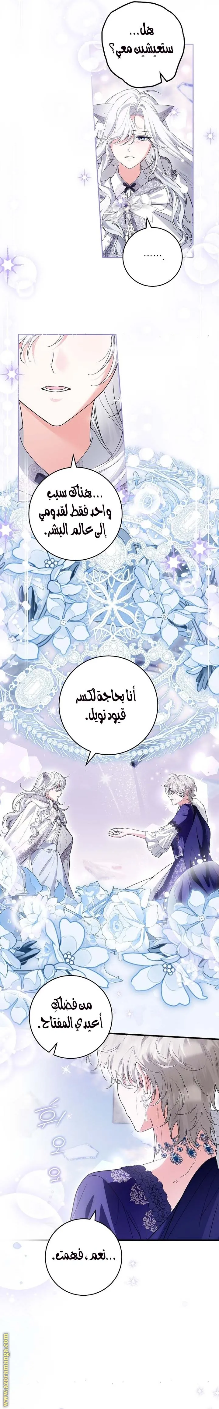 الصفحة 13