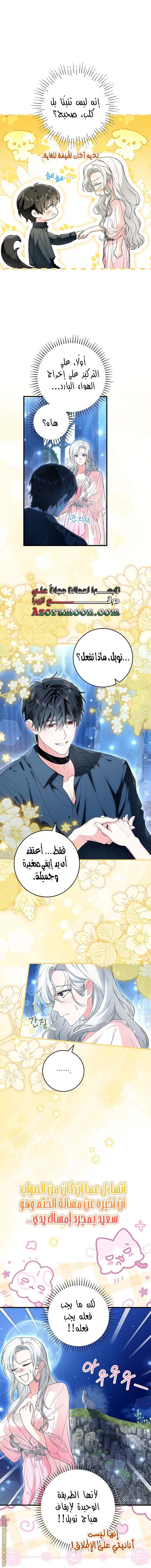 الصفحة 3