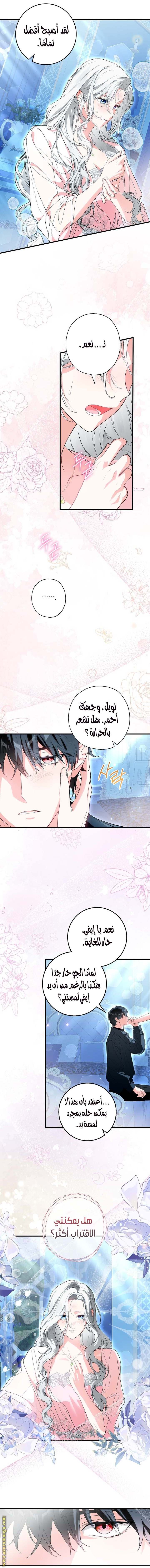 الصفحة 7