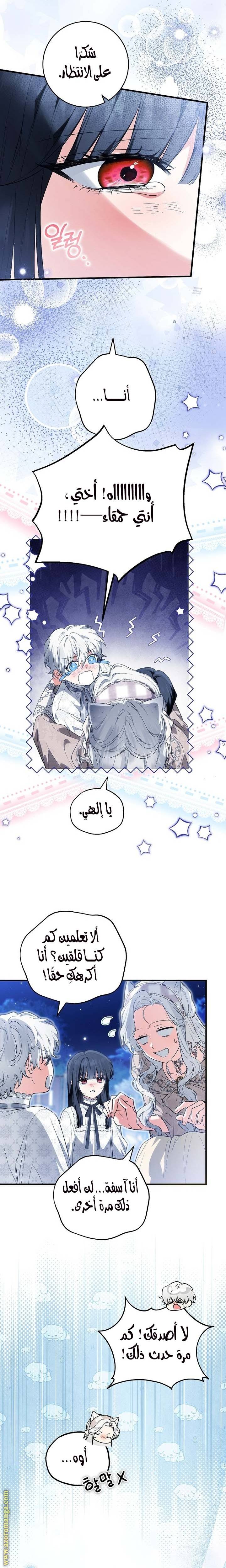 الصفحة 13