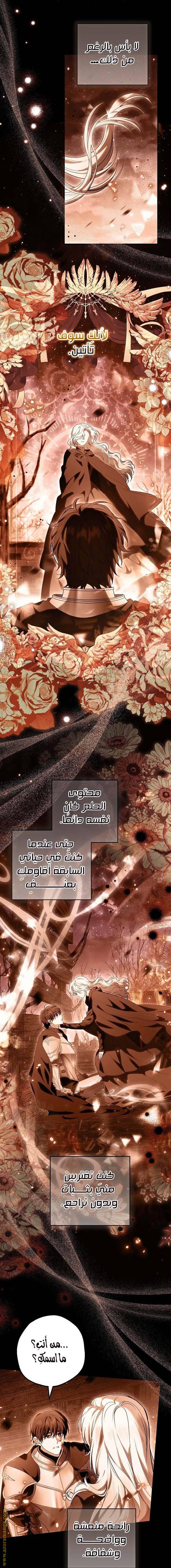 الصفحة 18