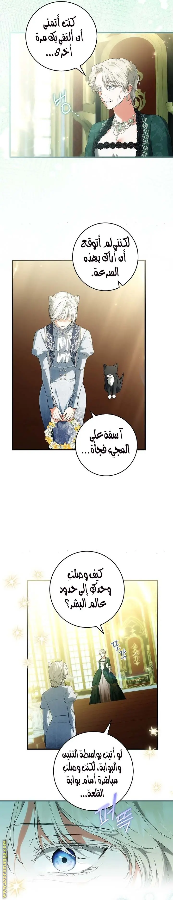 الصفحة 12