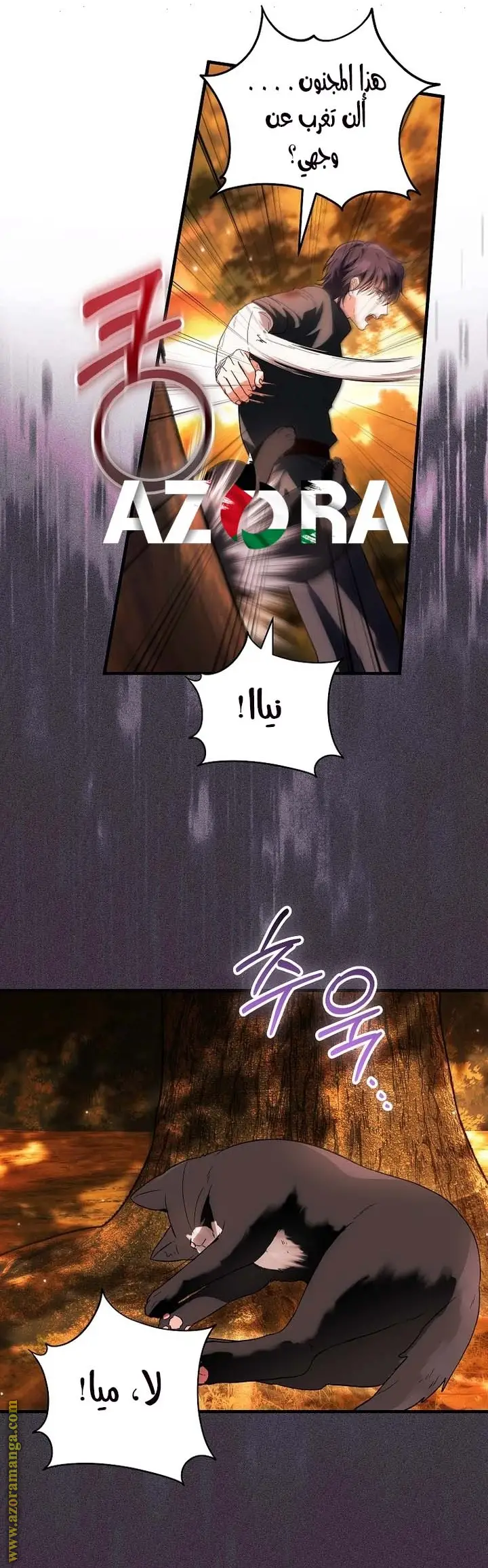 الصفحة 11