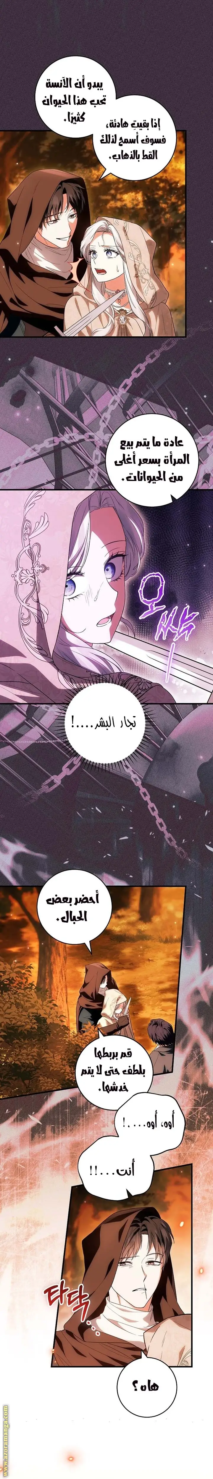 الصفحة 12