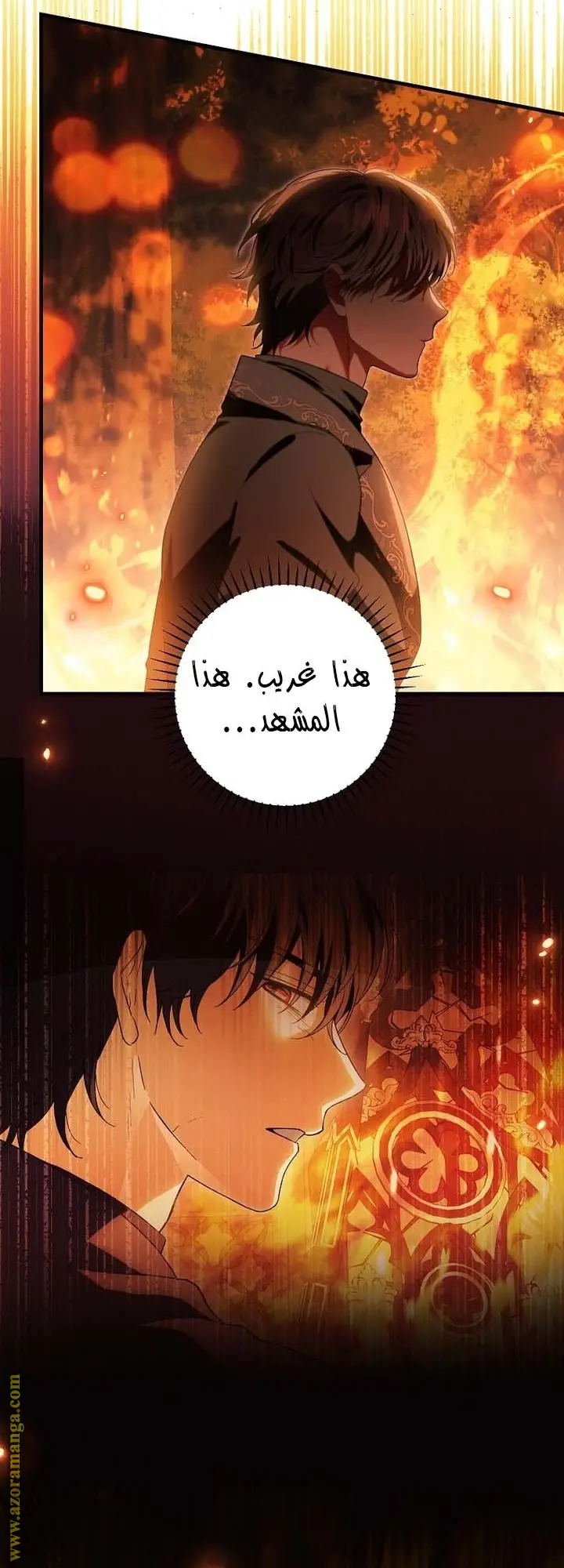 الصفحة 17