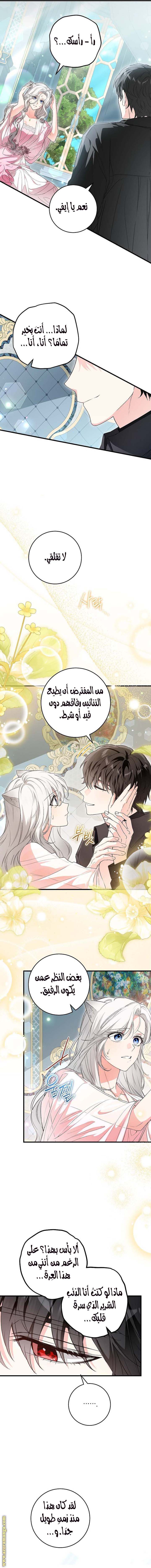الصفحة 8