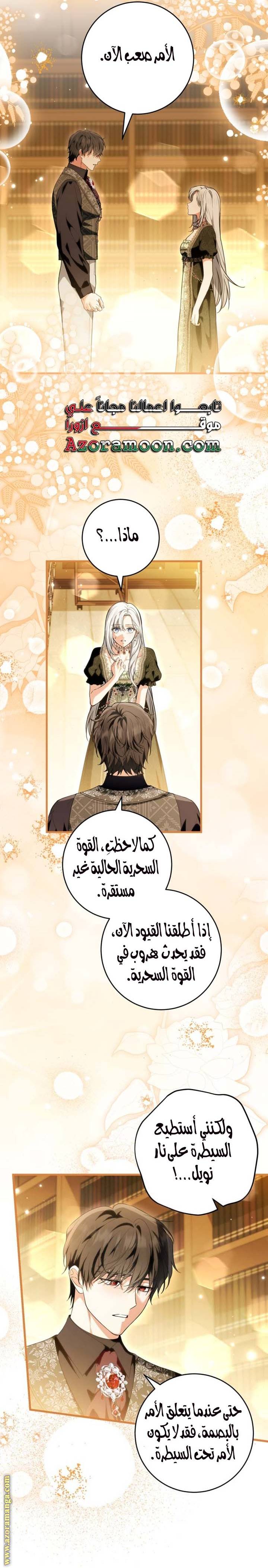 الصفحة 13