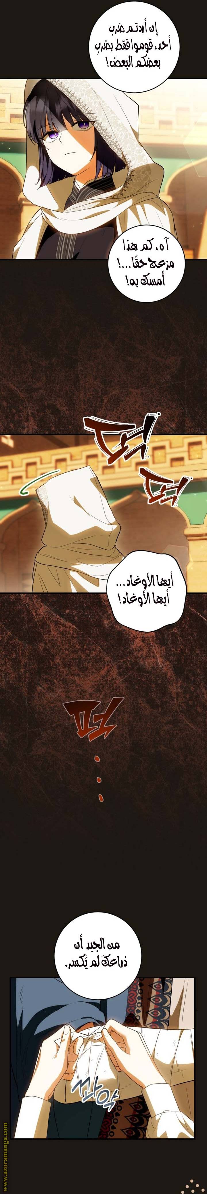 الصفحة 13