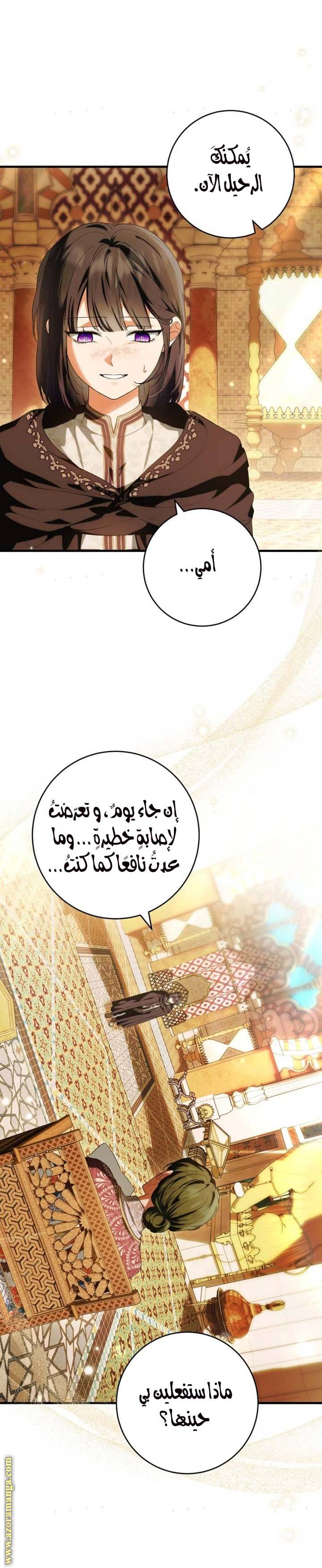 الصفحة 17