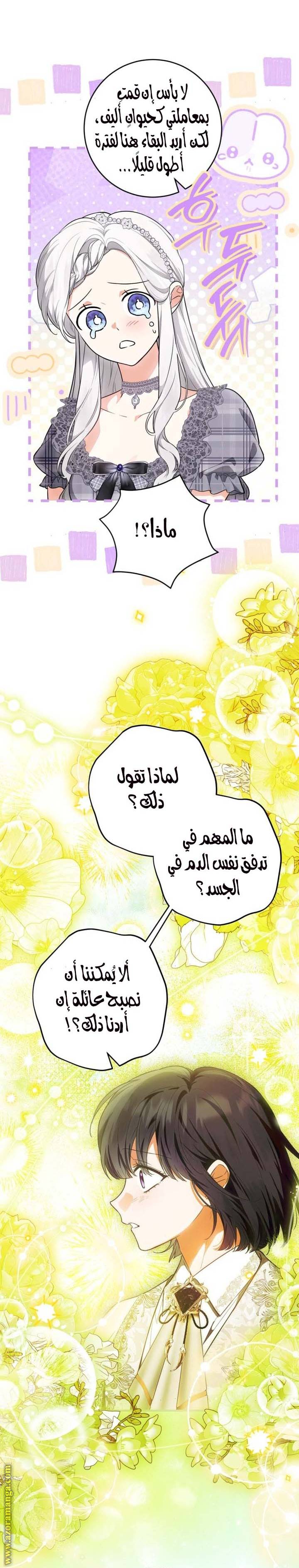 الصفحة 21