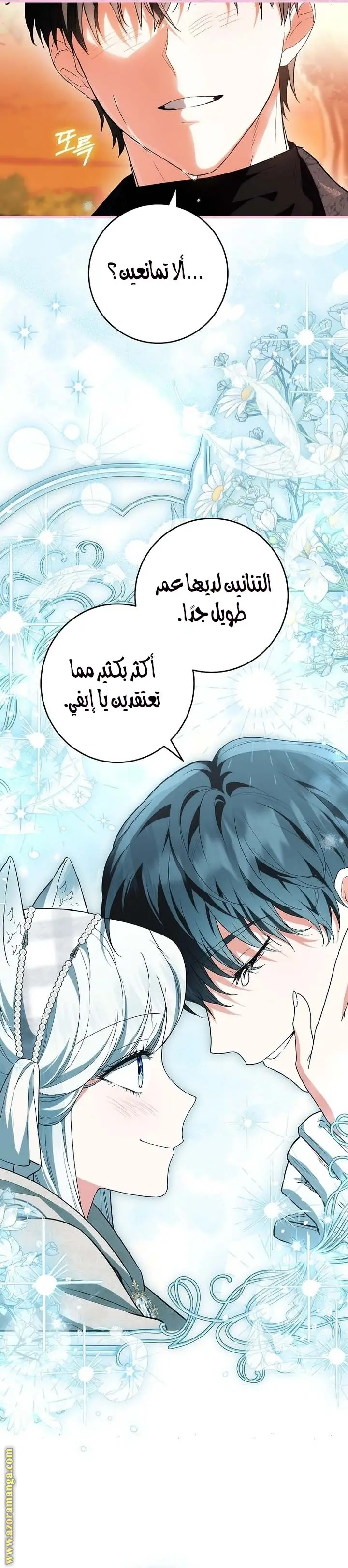 الصفحة 17