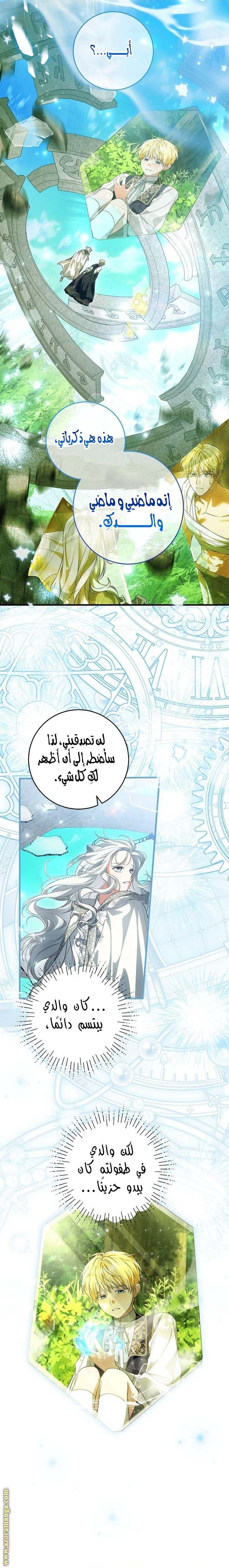 الصفحة 17