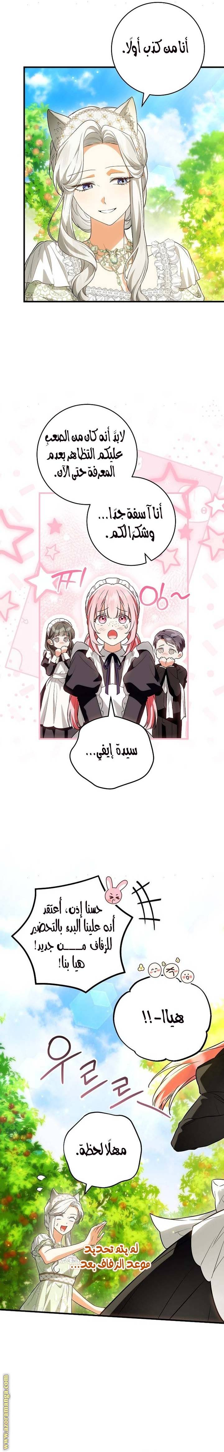 الصفحة 14