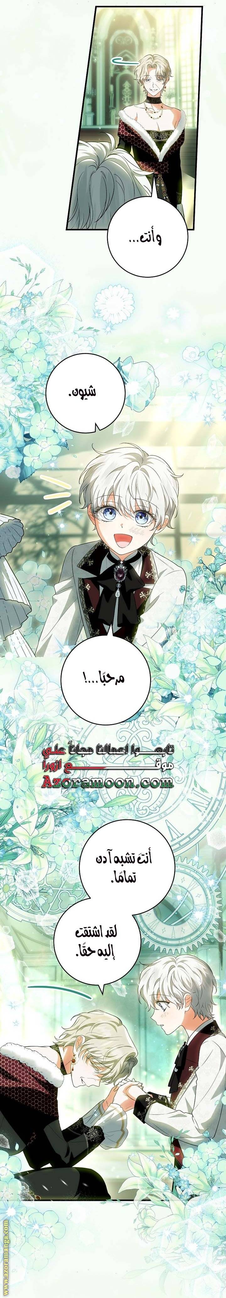 الصفحة 17