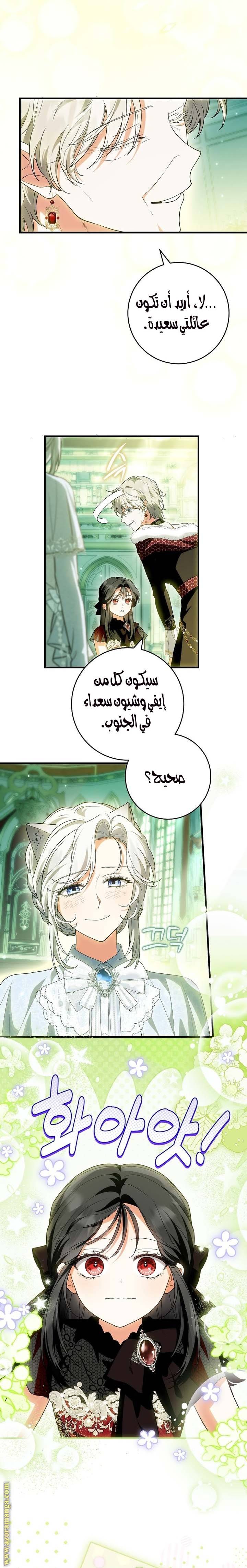 الصفحة 19
