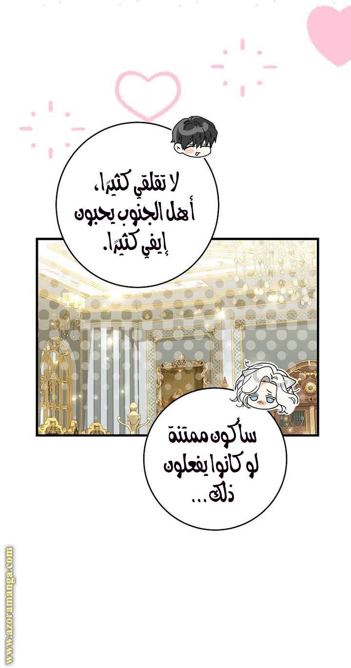 الصفحة 17