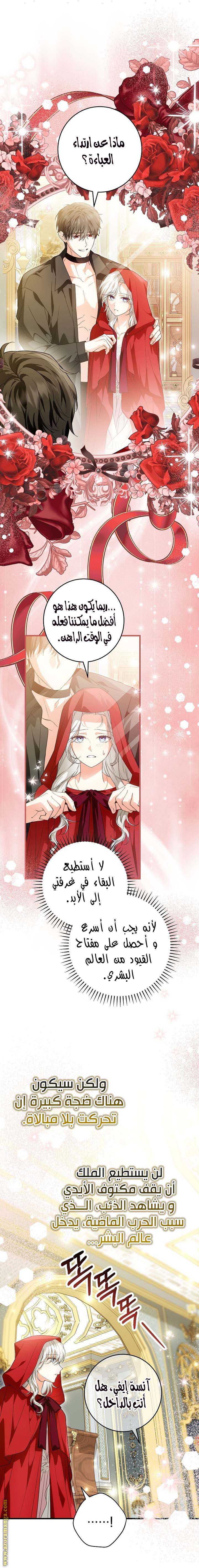 الصفحة 19