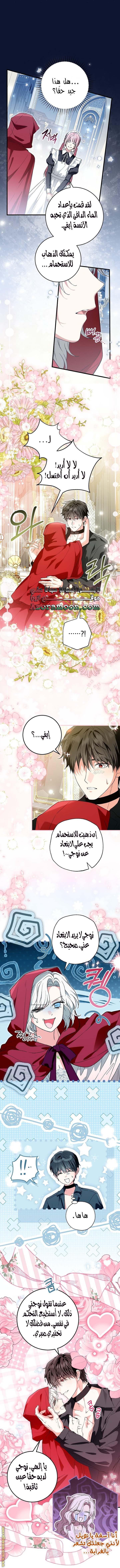 الصفحة 24