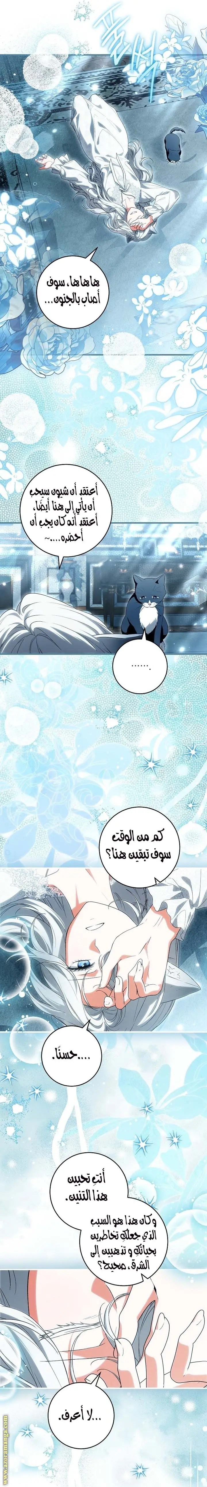 الصفحة 11