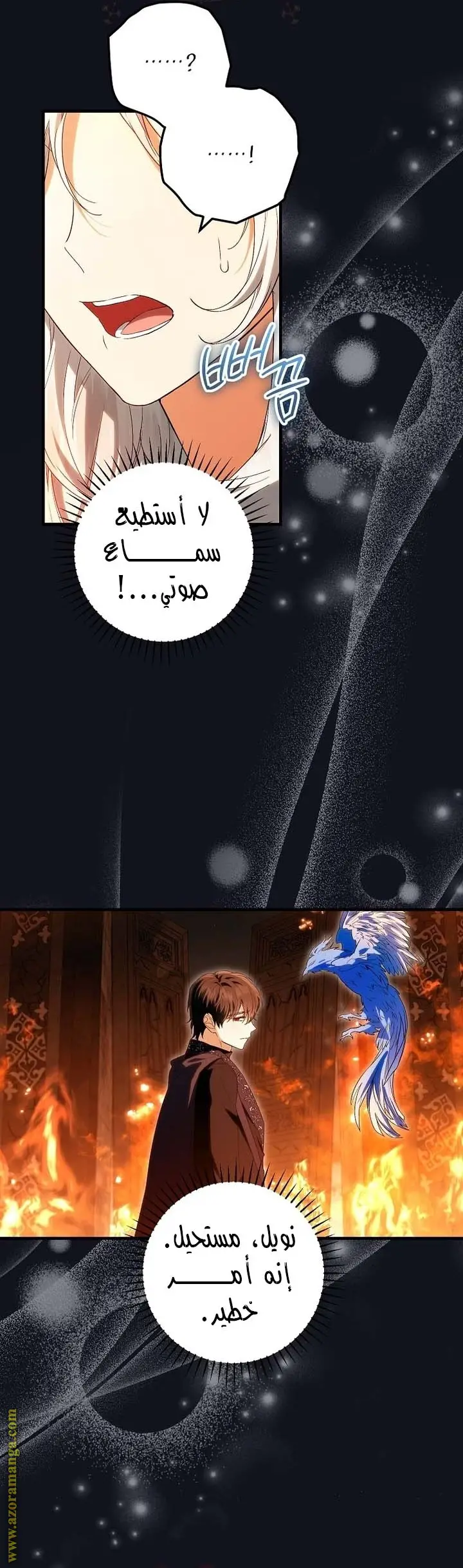 الصفحة 14