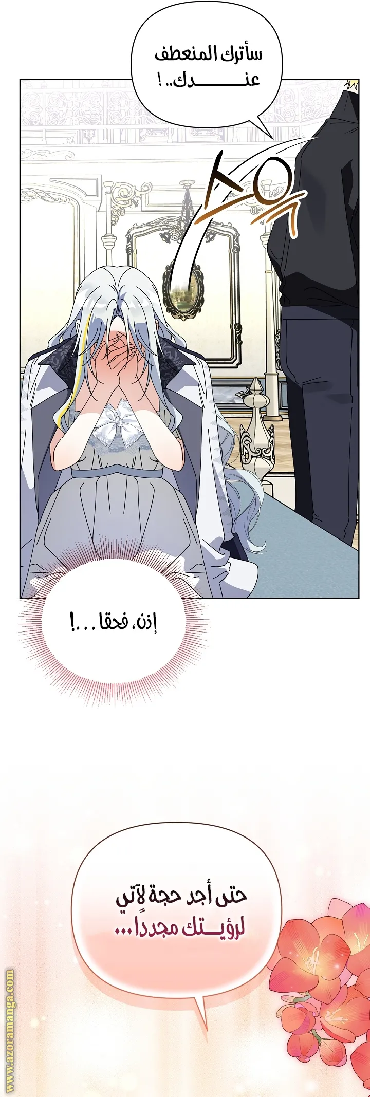 الصفحة 17