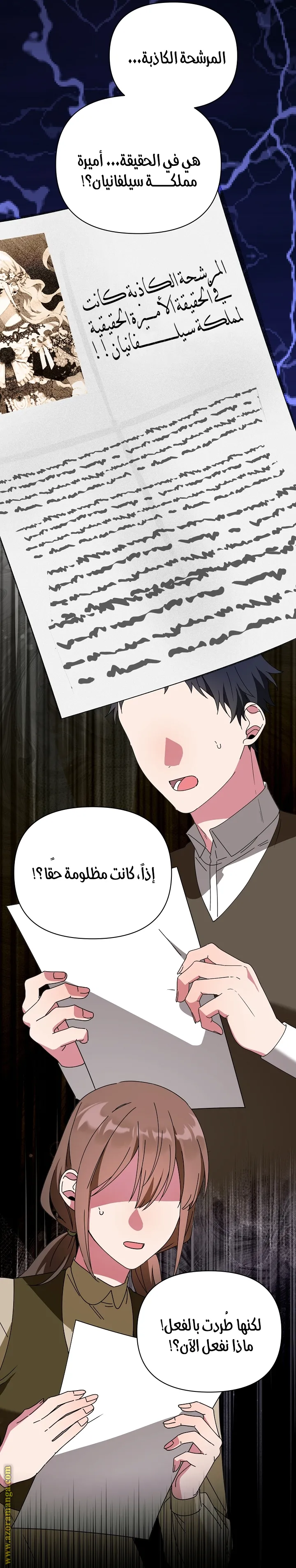 الصفحة 27