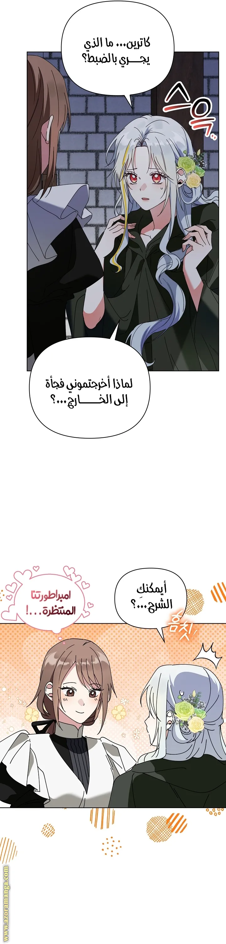 الصفحة 29
