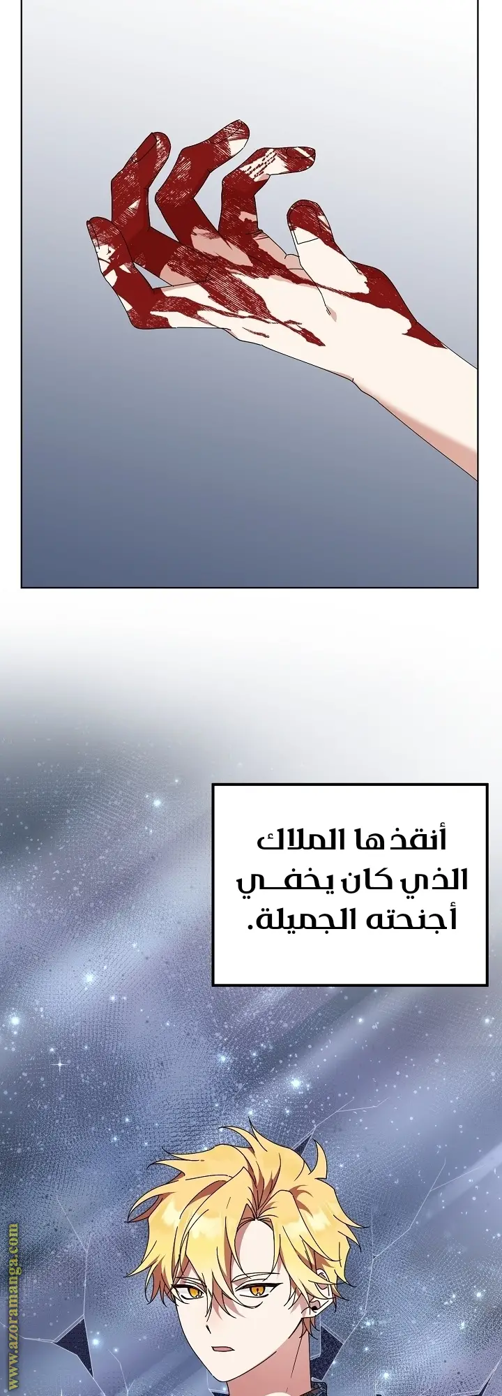 الصفحة 11