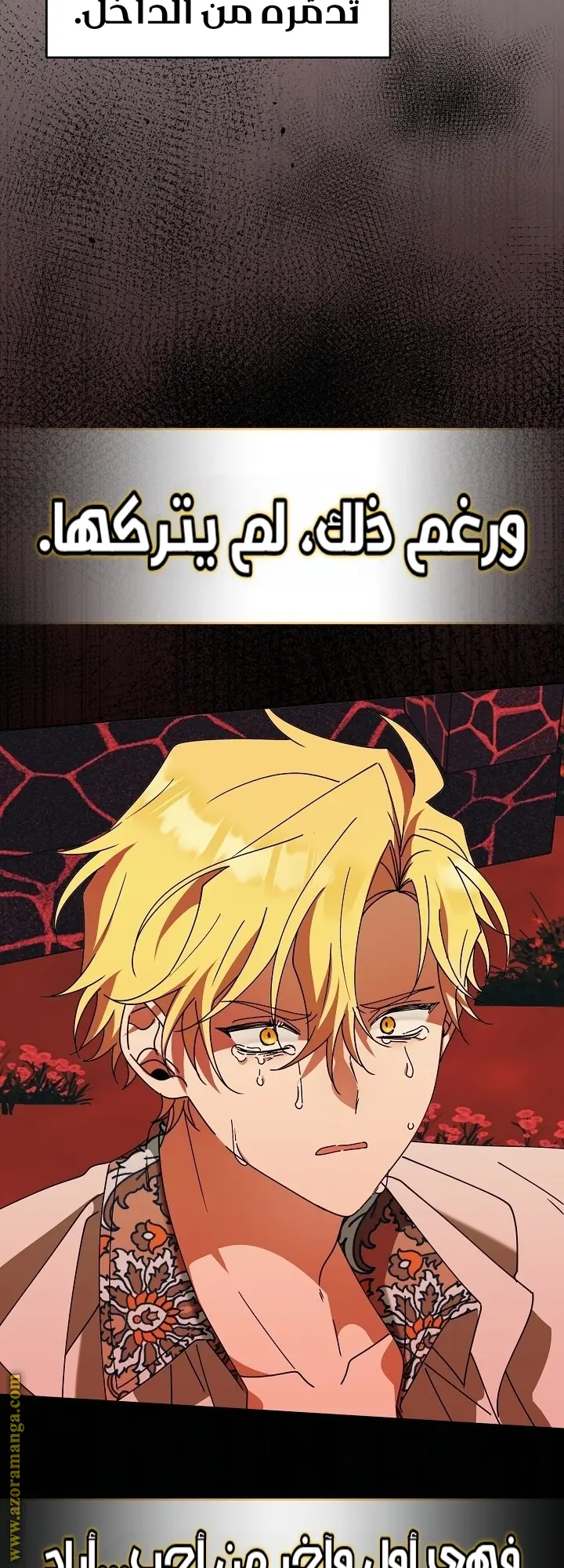 الصفحة 52