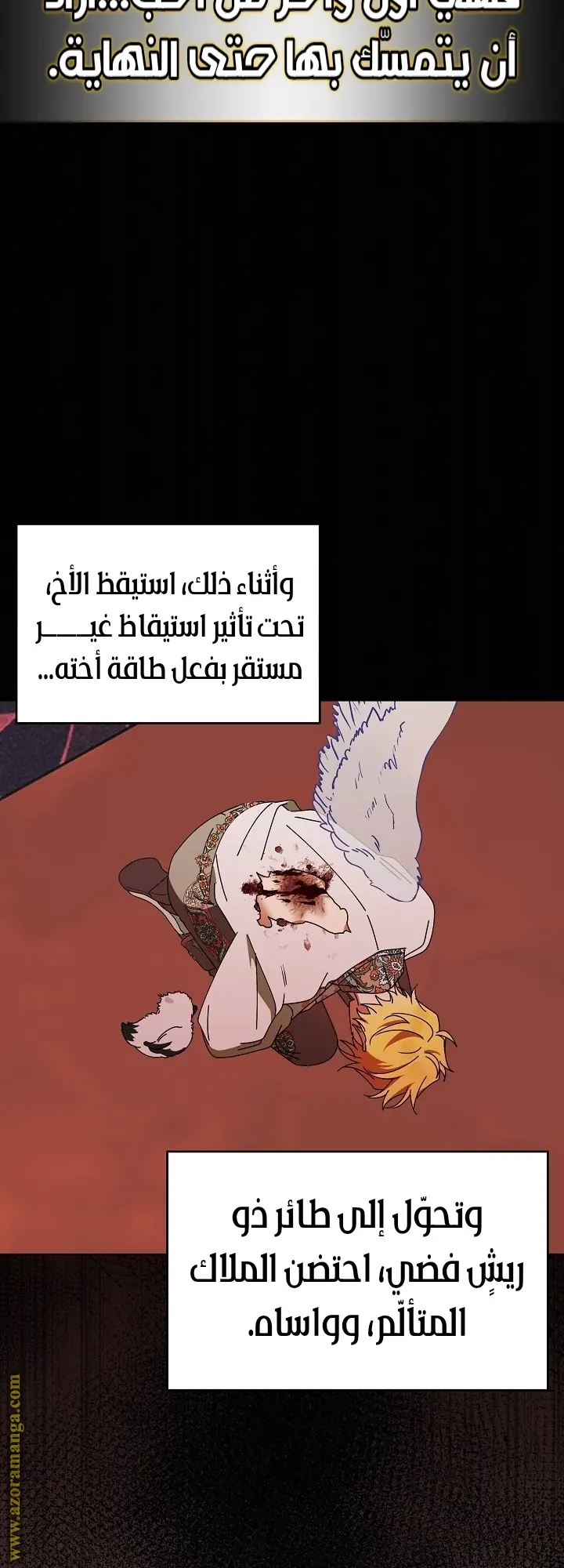 الصفحة 53