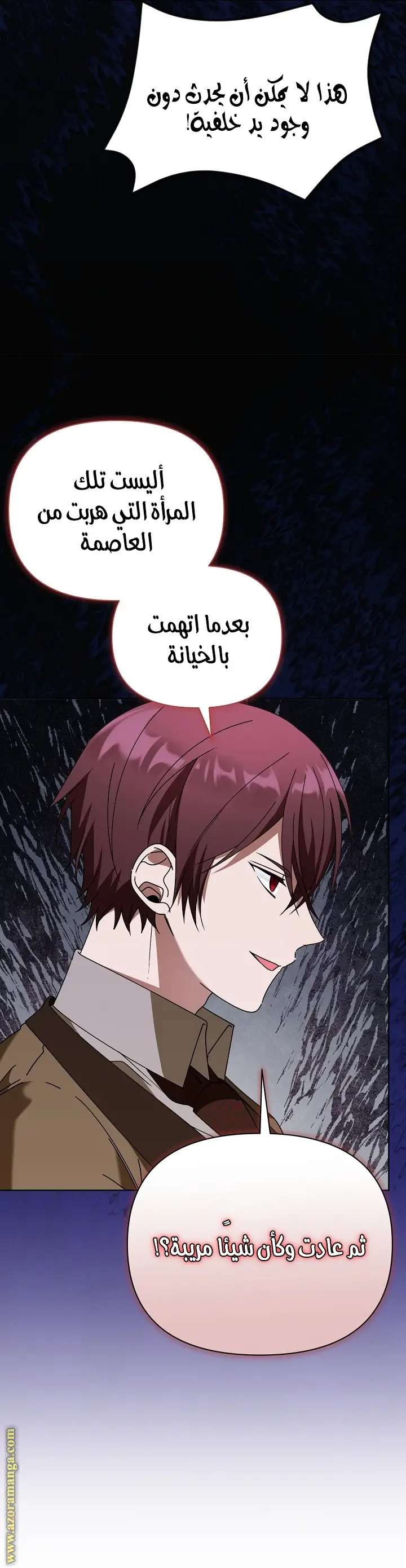 الصفحة 25