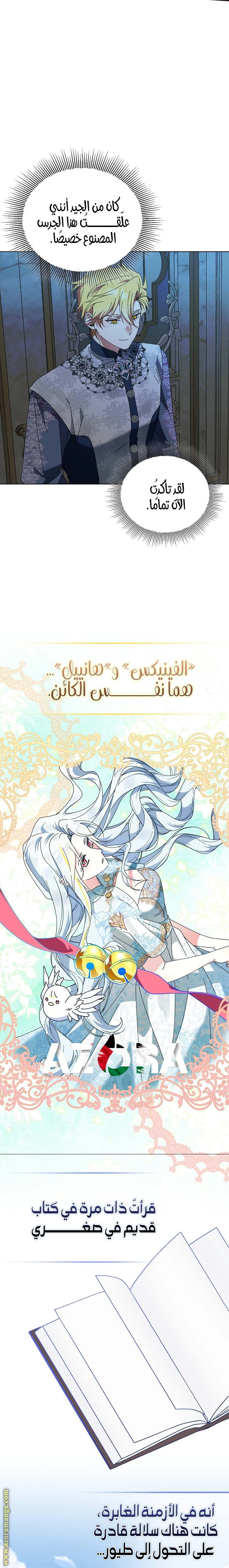 الصفحة 13